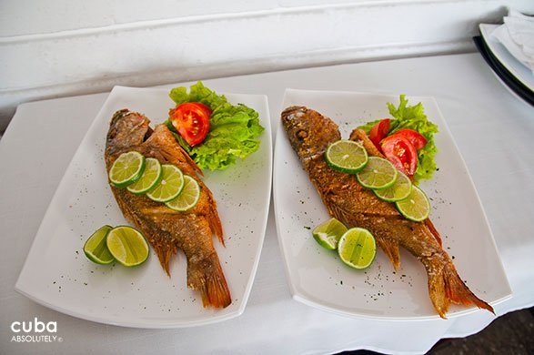 2 dishes with fish at Vistamar restaurant in Miramar© Cuba Absolutely, 2014