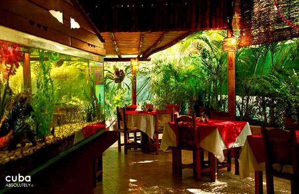 restaurant on a rustic ranch with plants © Cuba Absolutely, 2014