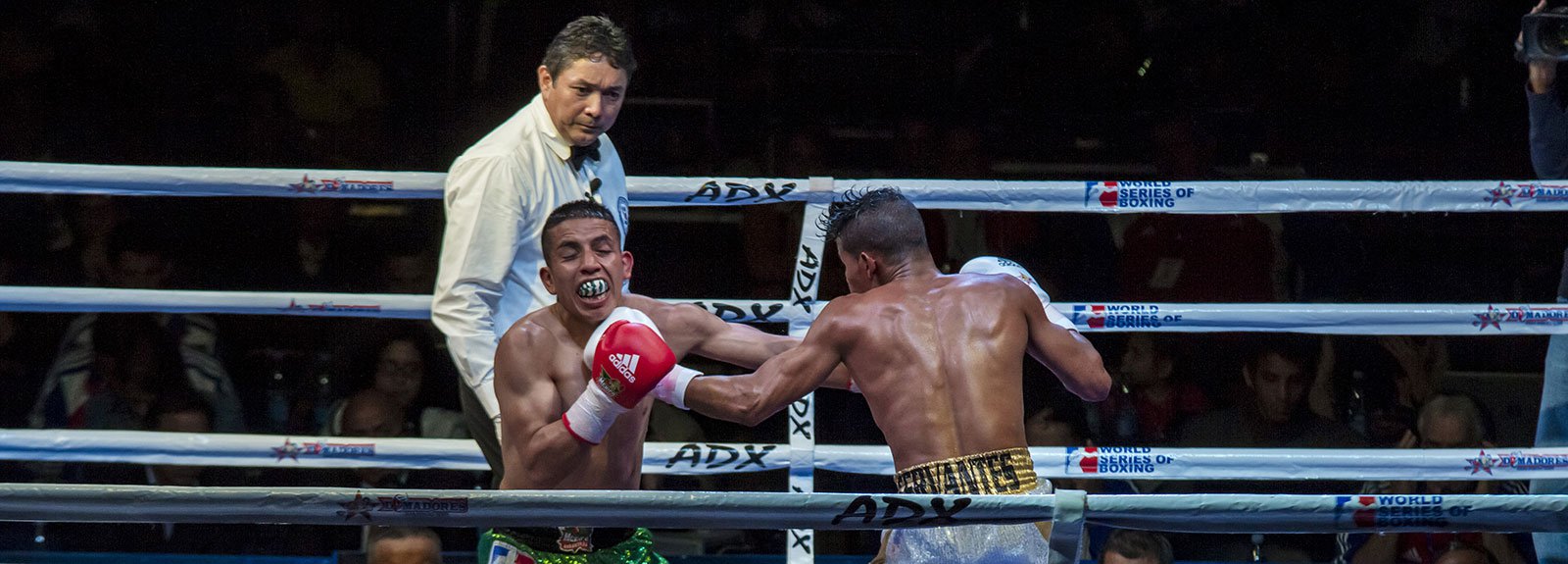 Boxing in Ciudad deportiva, cuban boxer punching in the face to a mexican