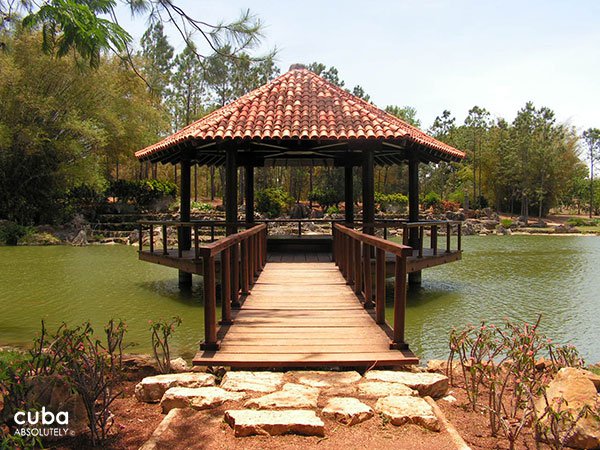 National botaniv garden, arbor in the river © Cuba Absolutely, 2014