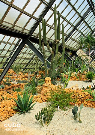 National Botanic garden, plants and water, all nature © Cuba Absolutely, 2014