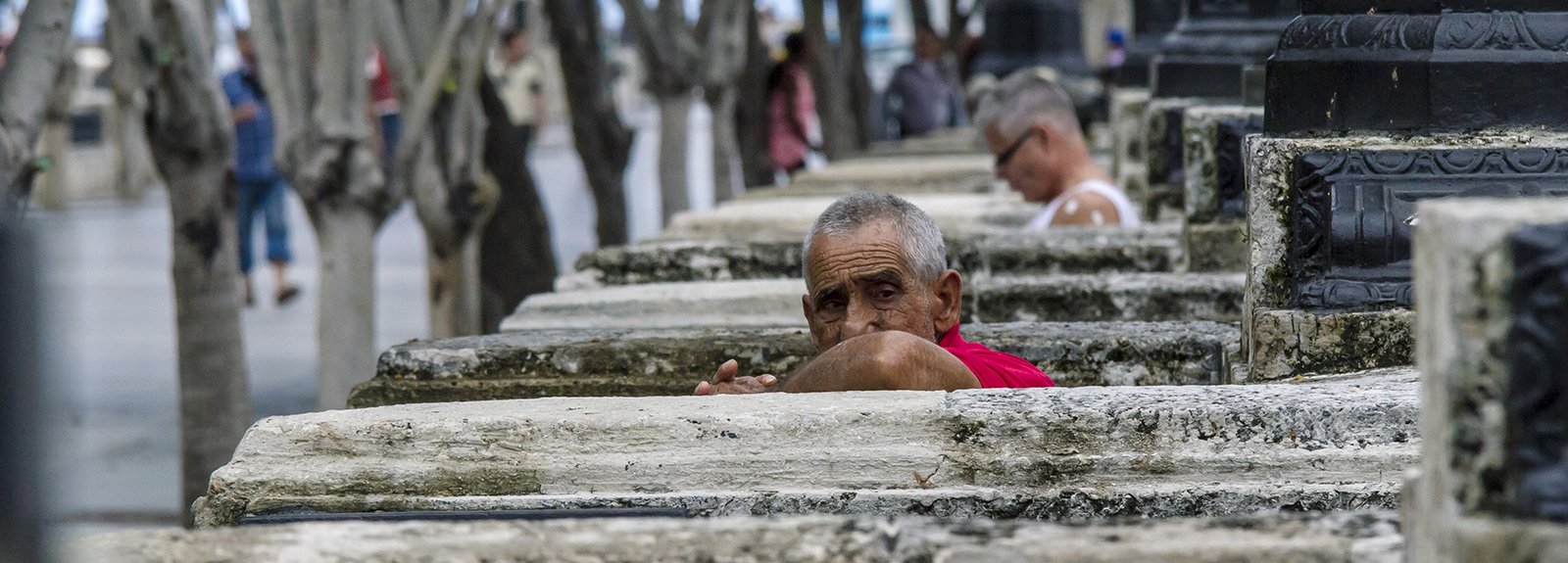 Old man sitting on Prado