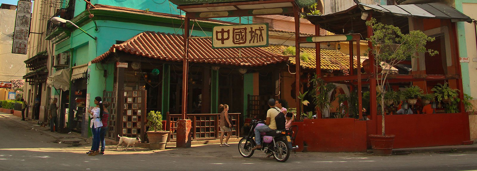 Entrance to the China town, chinese arquitecture and a green building