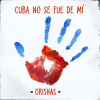 Cuba no se fue de mi