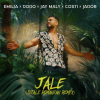 Jale (Djeale Romanian Remix)